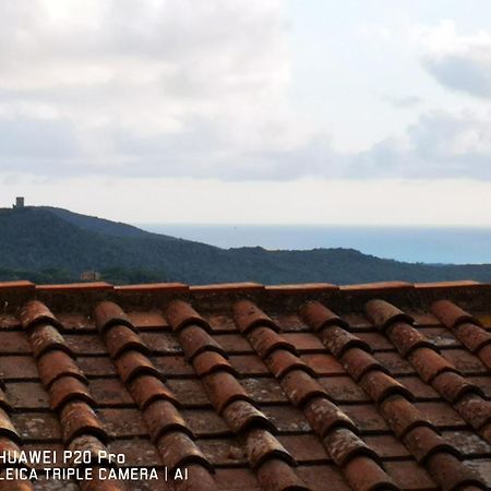 Il Nespolo Villa Castagneto Carducci Ngoại thất bức ảnh