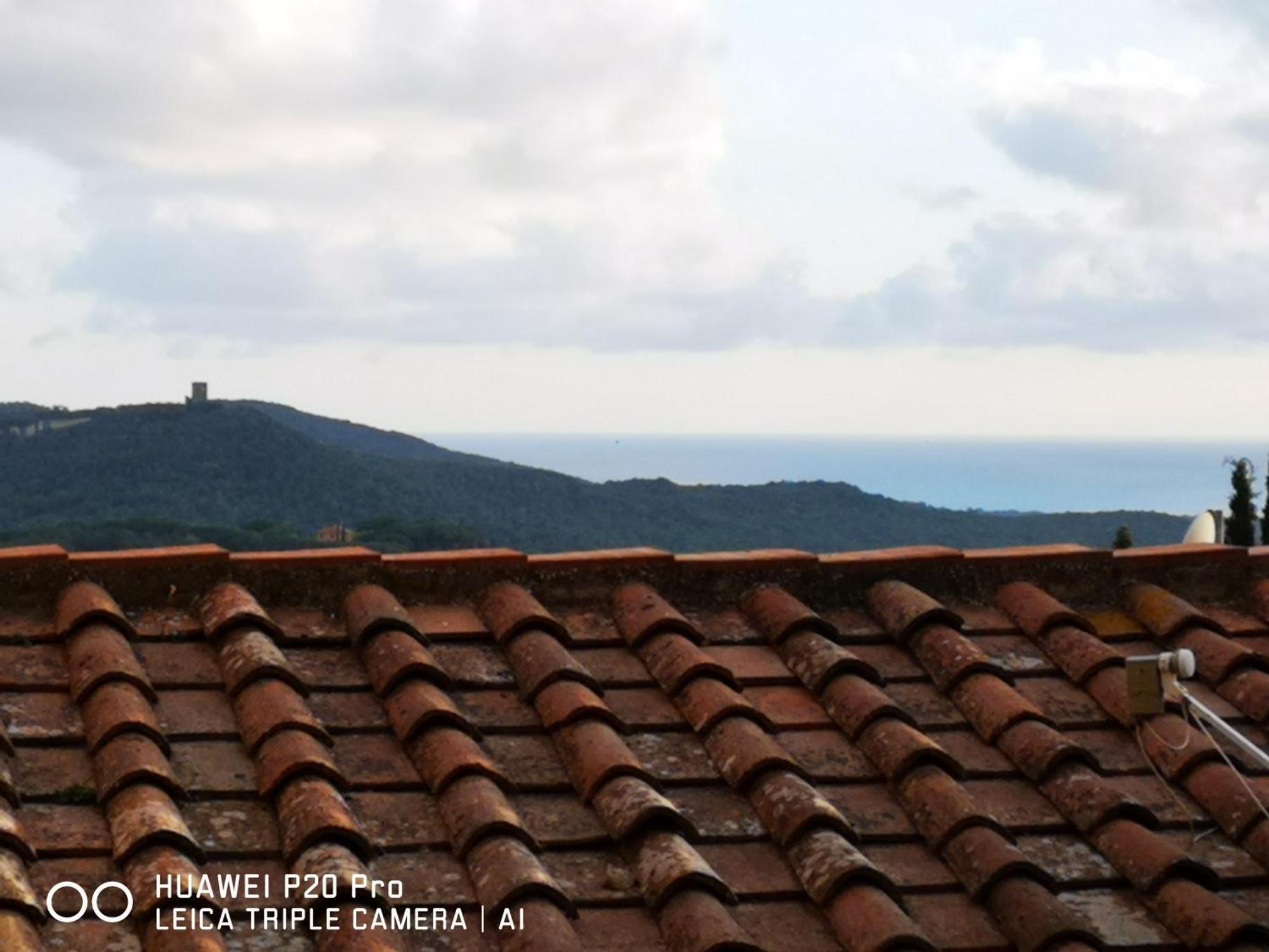 Il Nespolo Villa Castagneto Carducci Ngoại thất bức ảnh