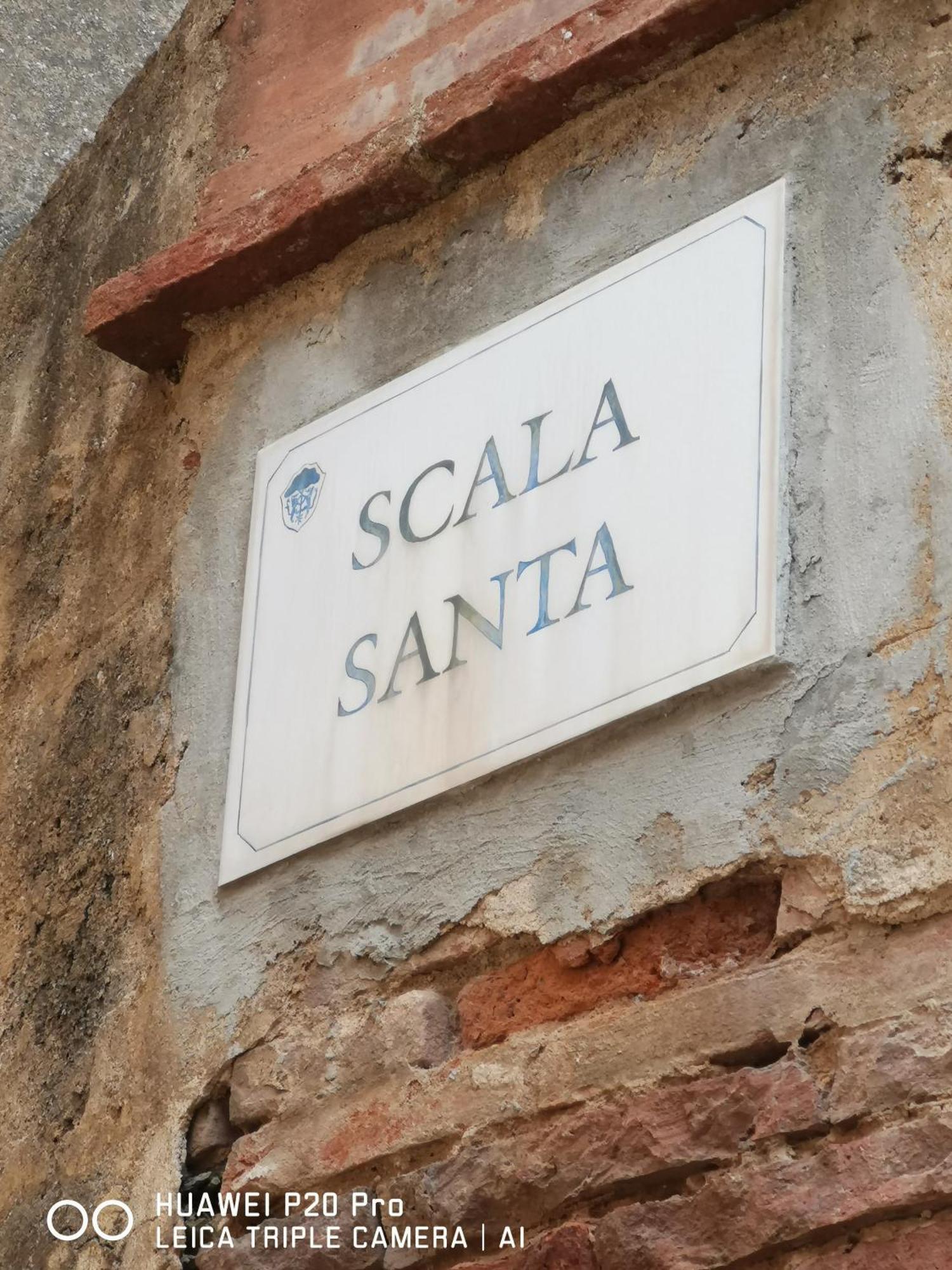 Il Nespolo Villa Castagneto Carducci Ngoại thất bức ảnh